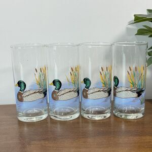 Vintage Cerve Mallard Duck & Cattail Highball Glasses Set of 4 Wildlife Tumblers